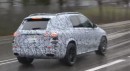 2019 Mercedes-AMG GLE53  spied