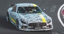 Mercedes-AMG GT R PRO