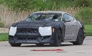 2019 Shelby Mustang GT500