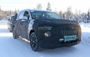 2020 Hyundai eight-seat large SUV