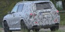 2020 Mercedes-Maybach GLS Spied With Fresh Grille Design in Germany