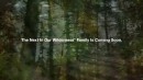 2022 Subaru Forester Wilderness teaser photo