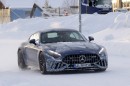 2025 Mercedes-AMG GT performance variant (potentially RWD)