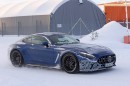2025 Mercedes-AMG GT performance variant (potentially RWD)