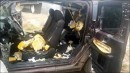 3 Bears Destroy a Parked Honda in Colorado