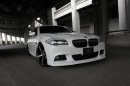3D Design BMW 5 Series M-Sport 