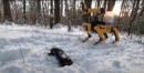 Spot the robot dog from Boston Dynamics