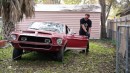 1968 Shelby Mustang GT500 King of the Road