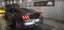 575 HP Hennessey 2016 Mustang GT350 dyno run