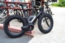 E-Bike 2025 hubless pedelec concept