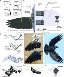 A robotic wing was developed as part of a recent study led by the Lund University