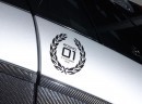 McLaren P1 GTR Workshop: inaugural round sticker