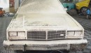 1982 Ford LTD Crown Victoria barn find