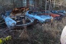 abandoned AMC dealership in North Carolina