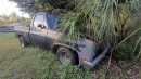 abandoned classic Chevrolet trucks in Florida
