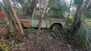 abandoned classic Chevrolet trucks in Florida