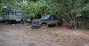hoard of vintage cars on abandoned forest property