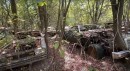 abandoned junkyard