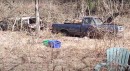 abandoned forest property with old cars and trucks