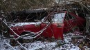 Classic cars abandoned in the woods