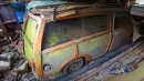 abandoned classic car collection