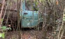 derelict vehicles on abandoned property