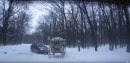 Horse carriage winter crash