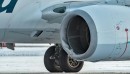 Alaska Airlines aircraft damaged after hitting a bear on the runway