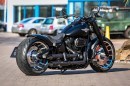 Harley-Davidson Dark Dozer