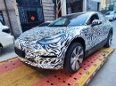 Alleged Tesla entry-level model testing mule spotted in China
