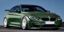 2015 BMW M3 by Alpha-N Performance