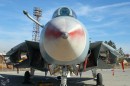 Iranian F-14