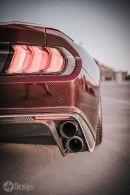 Asira Design Carbon Fiber Mustang