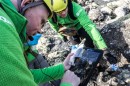 As part of ESA's Pangea training course, a team of astronauts, engineers, and geologists will explore Spain's Canary Islands