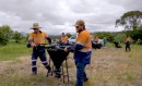 Dendra Systems drone seeding in Australia