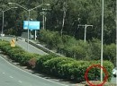 Traffic cop hides in the bushes on median strip with radar gun in Petrie, Australia