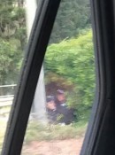 Traffic cop hides in the bushes on median strip with radar gun in Petrie, Australia