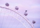 Batman rides on top of cabin in The London Eye in promo stunt for The Batman movie