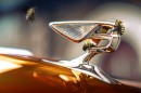 Bentley's 2022 Honey Harvest