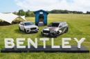 Bentley the sheepdog Bentayga S