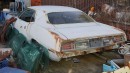 Dodge Challenger & Plymouth Cuda barn finds