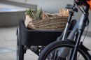 Concept Dynamic Cargo e-Bike