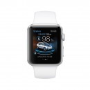 BMW i Remote App for Apple Watch