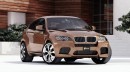 BMW X6 and X6 M Get Schmidt Revolution Rhino Wheels