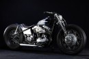 Harley-Davidson FL Cyanos