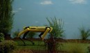 Boston Dynamics Spot robot