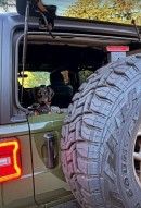 Sam Asghari's Jeep Wrangler, and Dog Porsha