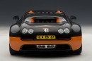 Bugatti Veyron Super Sport World Record Edition Scale Model