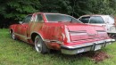 1977 Ford Thunderbird abandoned on bushy property runs after 25 years on Dylan McCool