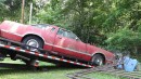 1977 Ford Thunderbird abandoned on bushy property runs after 25 years on Dylan McCool